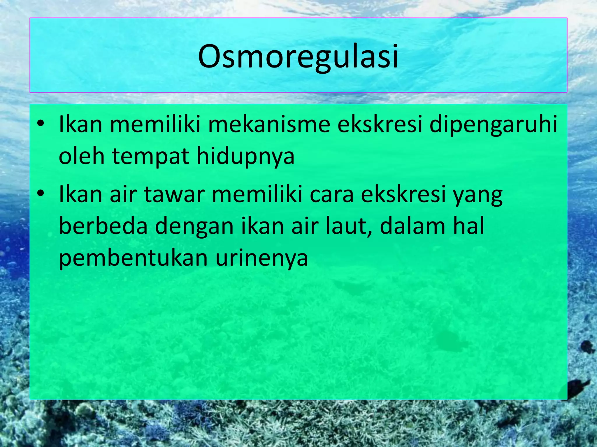 Osmoregulasi
• Ikan memiliki mekanisme ekskresi dipengaruhi
oleh tempat hidupnya
• Ikan air tawar memiliki cara ekskresi yang
berbeda dengan ikan air laut, dalam hal
pembentukan urinenya
 