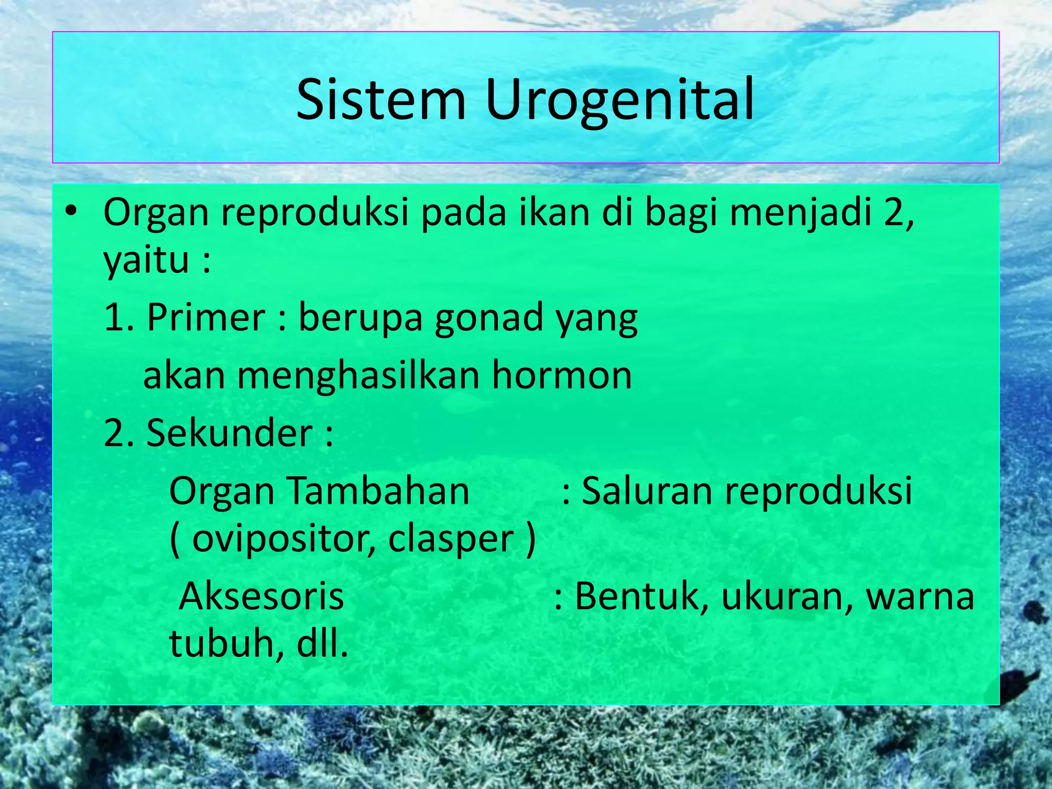 Sistem Urogenital
• Organ reproduksi pada ikan di bagi menjadi 2,
yaitu :
1. Primer : berupa gonad yang
akan menghasilkan hormon
2. Sekunder :
Organ Tambahan : Saluran reproduksi
( ovipositor, clasper )
Aksesoris : Bentuk, ukuran, warna
tubuh, dll.
 