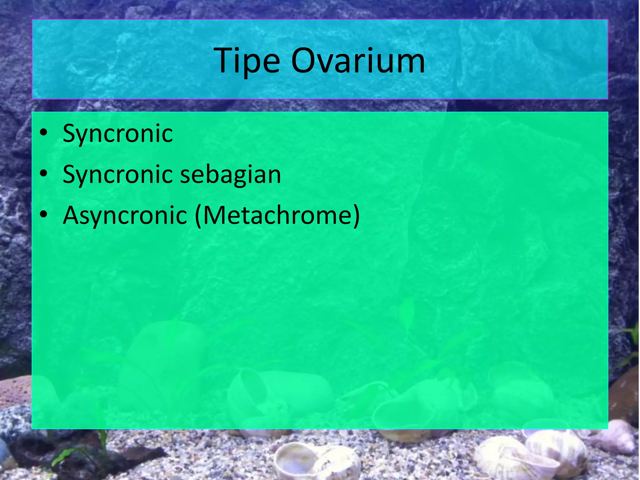 Tipe Ovarium
• Syncronic
• Syncronic sebagian
• Asyncronic (Metachrome)
 