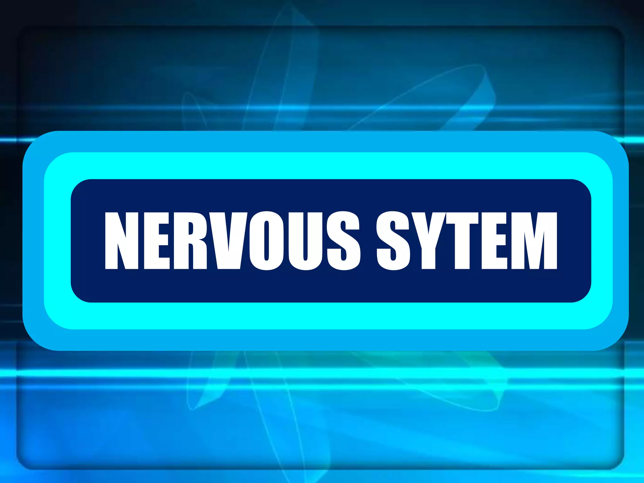 `NERVOUS SYTEM
 