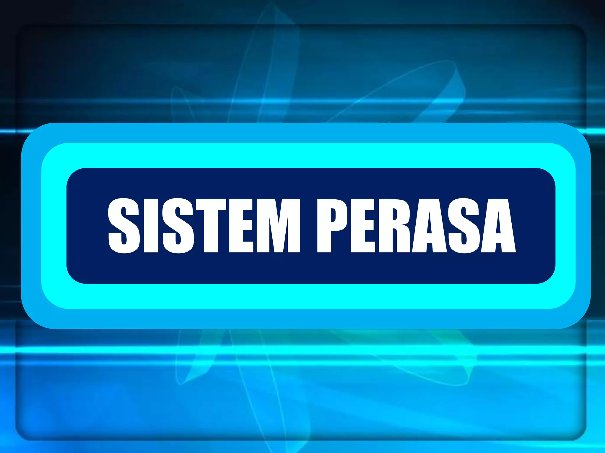 `SISTEM PERASA
 