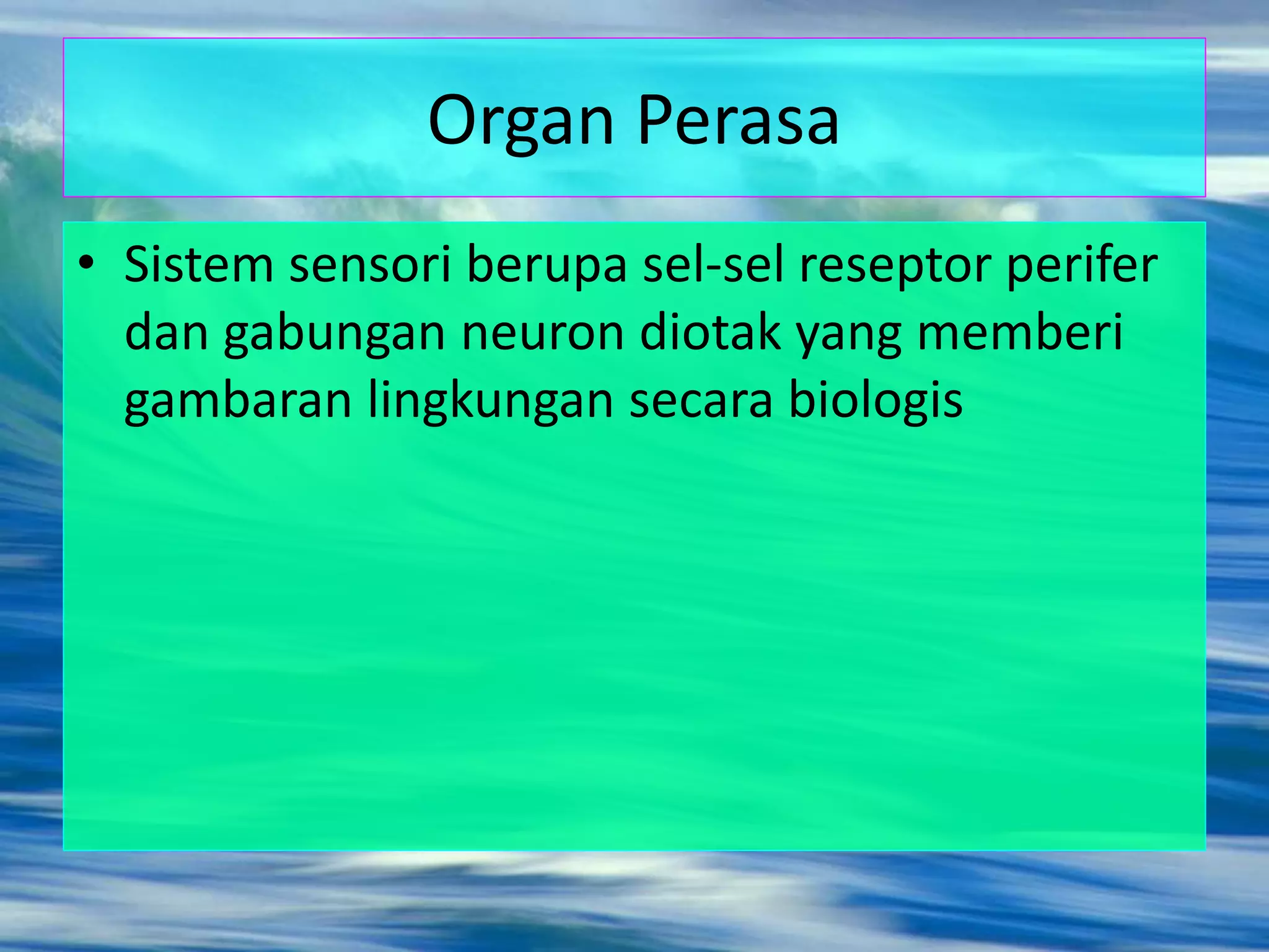 Organ Perasa
• Sistem sensori berupa sel-sel reseptor perifer
dan gabungan neuron diotak yang memberi
gambaran lingkungan secara biologis
 