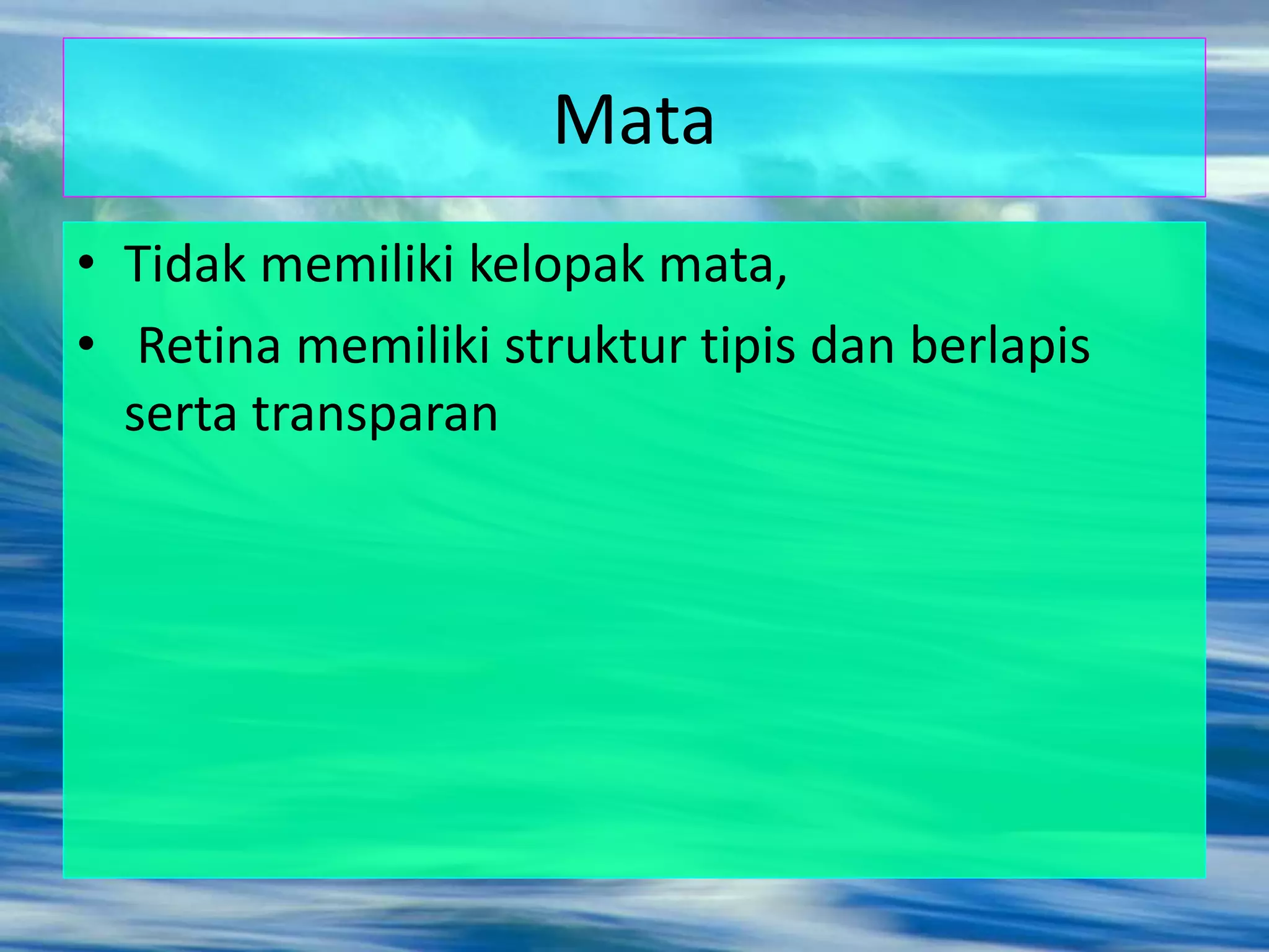 Mata
• Tidak memiliki kelopak mata,
• Retina memiliki struktur tipis dan berlapis
serta transparan
 
