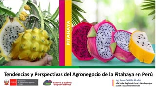 TENDENCIAS Y PERSPECTIVAS DEL AGRONEGOCIO DE LA PITAHAYA -II Foro Macroregional e internacional pitahaya - SSE-MIDAGRI
