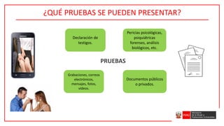 ¿QUÉ PRUEBAS SE PUEDEN PRESENTAR?
Declaración de
testigos.
Documentos públicos
o privados.
Grabaciones, correos
electrónicos,
mensajes, fotos,
vídeos.
Pericias psicológicas,
psiquiátricas
forenses, análisis
biológicos, etc.
PRUEBAS
 