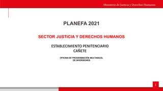 1
PLANEFA 2021
SECTOR JUSTICIA Y DERECHOS HUMANOS
ESTABLECIMIENTO PENITENCIARIO
CAÑETE
OFICINA DE PROGRAMACIÓN MULTIANUAL
DE INVERSIONES
 