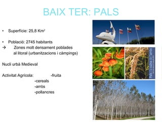 PLANEJAMENT TERRITORIAL