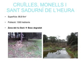 PLANEJAMENT TERRITORIAL