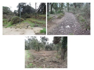 PLANEJAMENT TERRITORIAL