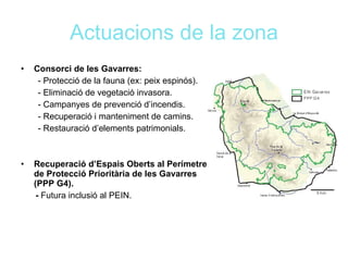 PLANEJAMENT TERRITORIAL