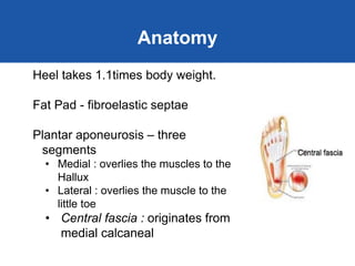 Plantar Fasciitis | PDF