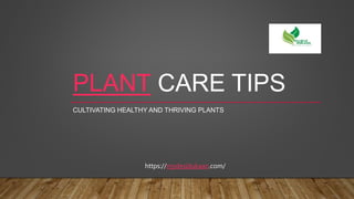 https://mydesidukaan.com/
PLANT CARE TIPS
CULTIVATING HEALTHY AND THRIVING PLANTS
 