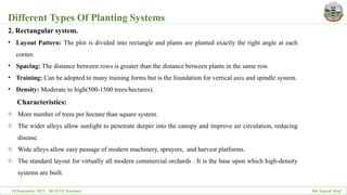 Dr Rayees ppt on planting systems of Fruit trees | PPTX