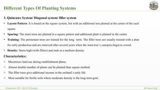 Dr Rayees ppt on planting systems of Fruit trees | PPTX