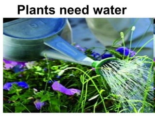 Plants need water

 