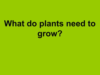 What do plants need to
grow?

 
