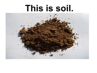 This is soil.

 
