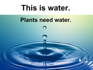This is water.
Plants need water.

 