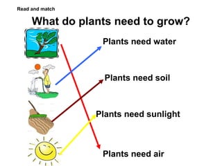 Read and match

What do plants need to grow?
Plants need water

Plants need soil

Plants need sunlight

Plants need air

 