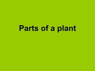 Parts of a plant

 