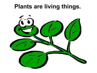 Plants are living things.

 