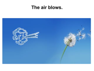 The air blows.

 