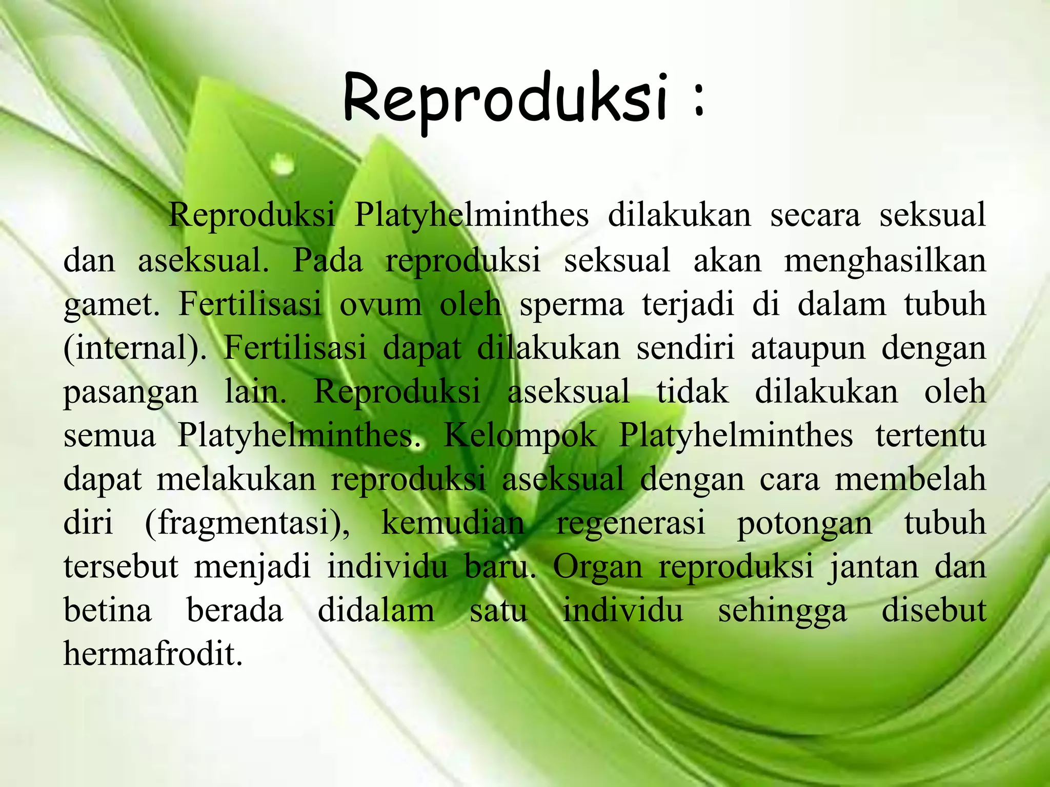 Reproduksi :
Reproduksi Platyhelminthes dilakukan secara seksual
dan aseksual. Pada reproduksi seksual akan menghasilkan
gamet. Fertilisasi ovum oleh sperma terjadi di dalam tubuh
(internal). Fertilisasi dapat dilakukan sendiri ataupun dengan
pasangan lain. Reproduksi aseksual tidak dilakukan oleh
semua Platyhelminthes. Kelompok Platyhelminthes tertentu
dapat melakukan reproduksi aseksual dengan cara membelah
diri (fragmentasi), kemudian regenerasi potongan tubuh
tersebut menjadi individu baru. Organ reproduksi jantan dan
betina berada didalam satu individu sehingga disebut
hermafrodit.
 