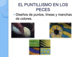 EL PUNTILLISMO EN LOS
PECES


Diseños de puntos, líneas y manchas
de colores.

 