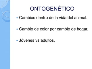 ONTOGENÉTICO


Cambios dentro de la vida del animal.



Cambio de color por cambio de hogar.



Jóvenes vs adultos.

 