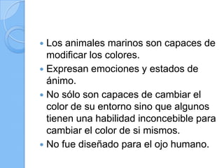 Los animales marinos son capaces de
modificar los colores.
 Expresan emociones y estados de
ánimo.
 No sólo son capaces de cambiar el
color de su entorno sino que algunos
tienen una habilidad inconcebible para
cambiar el color de si mismos.
 No fue diseñado para el ojo humano.


 