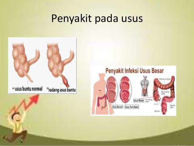 Ppt Pncernaan 2 55619159