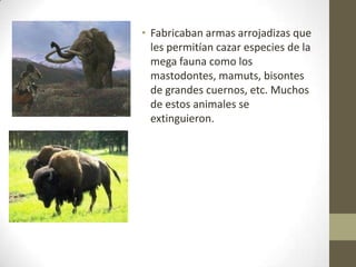 • Fabricaban armas arrojadizas que
  les permitían cazar especies de la
  mega fauna como los
  mastodontes, mamuts, bisontes
  de grandes cuernos, etc. Muchos
  de estos animales se
  extinguieron.
 