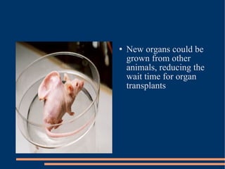 New organs could be grown from other animals, reducing the wait time for organ transplants 