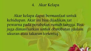 4. Akar Kelapa
Akar kelapa dapat bermanfaat untuk
kehidupan. Akar ini bisa dijadikan zat
pewarna pada perabotan rumah tangga. Bisa
juga dimanfaatkan untuk obatobatan (dalam
ukuran atau takaran tertentu).
 
