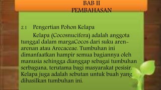 BAB II
PEMBAHASAN
2.1 Pengertian Pohon Kelapa
Kelapa (Cocosnucifera) adalah anggota
tunggal dalam margaCocos dari suku aren-
arenan atau Arecaceae. Tumbuhan ini
dimanfaatkan hampir semua bagiannya oleh
manusia sehingga dianggap sebagai tumbuhan
serbaguna, terutama bagi masyarakat pesisir.
Kelapa juga adalah sebutan untuk buah yang
dihasilkan tumbuhan ini.
 