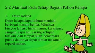 2.2 Manfaat Pada Setiap Bagian Pohon Kelapa
1. Daun Kelapa
Daun kelapa dapat dibuat menjadi
berbagai macam benda. Misalnya
bingkai lemari, hiasan janur, keranjang
sampah, sapu lidi, sarang ketupat,
tatakan, dan tempat buah. Sementara
pucuk daunnya dapat dibuat makanan,
seperti asinan.
 