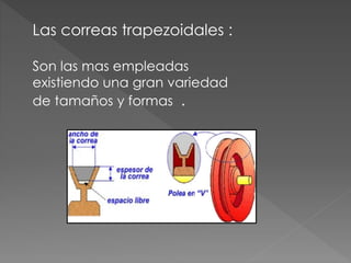 Las correas trapezoidales :
Son las mas empleadas
existiendo una gran variedad
de tamaños y formas .
 