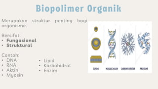 Merupakan struktur penting bagi
organisme.
Bersifat:
• Fungasional
• Struktural
Contoh:
• DNA
• RNA
• Aktin
• Myosin
• Lipid
• Karbohidrat
• Enzim
 