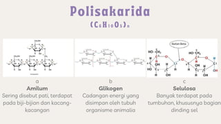 a
Amilum
Sering disebut pati, terdapat
pada biji-bijian dan kacang-
kacangan
c
Selulosa
Banyak terdapat pada
tumbuhan, khususnya bagian
dinding sel
b
Glikogen
Cadangan energi yang
disimpan oleh tubuh
organisme animalia
 