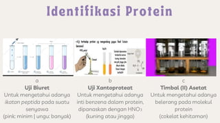 a
Uji Biuret
Untuk mengetahui adanya
ikatan peptida pada suatu
senyawa
(pink: minim | ungu: banyak)
c
Timbal (II) Asetat
Untuk mengetahui adanya
belerang pada molekul
protein
(cokelat kehitaman)
b
Uji Xantoproteat
Untuk mengetahui adanya
inti benzena dalam protein,
dipanaskan dengan HNO3
(kuning atau jingga)
 
