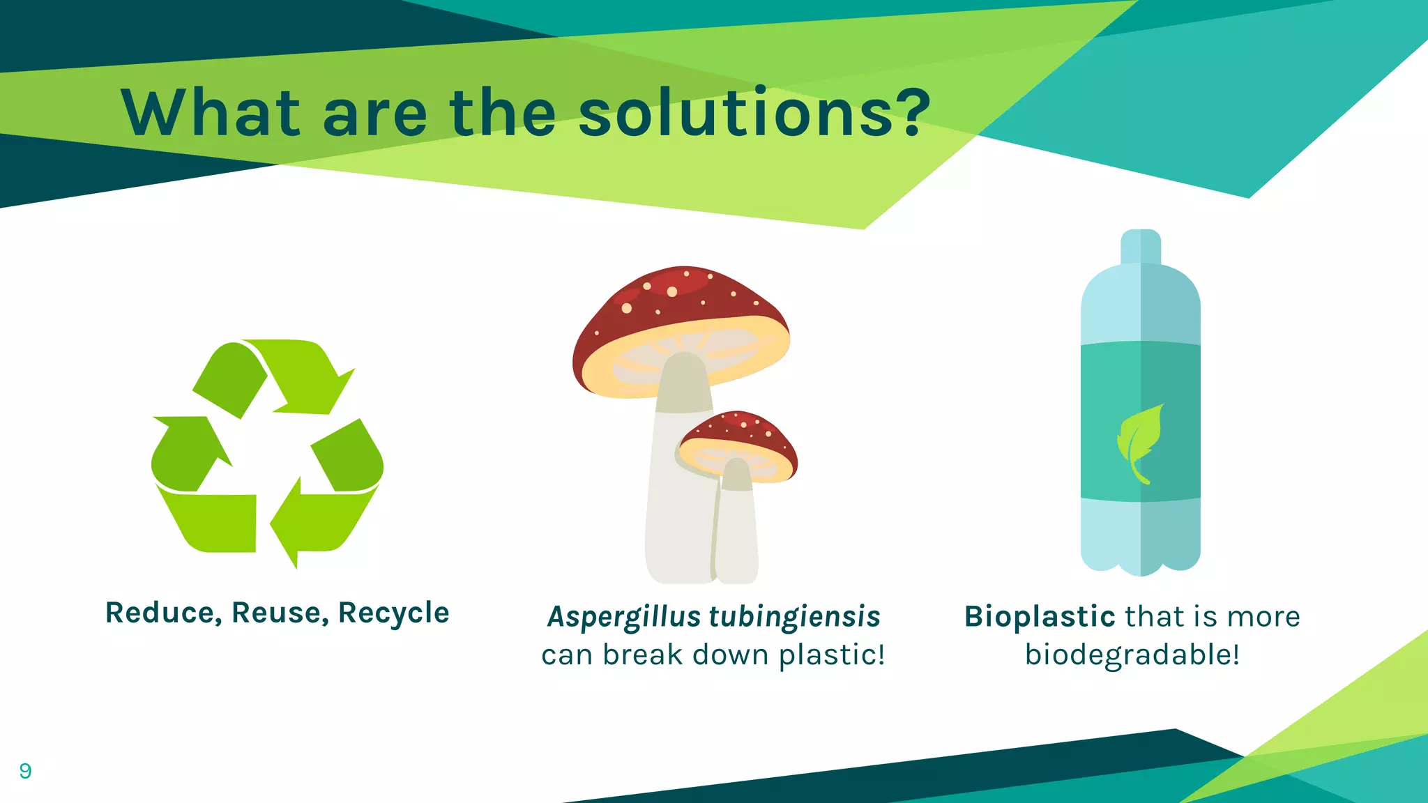 What are the solutions?
9
Reduce, Reuse, Recycle Aspergillus tubingiensis
can break down plastic!
Bioplastic that is more
biodegradable!