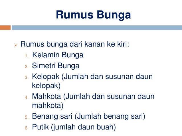 Ppt poltekes diagram dan rumus bunga 