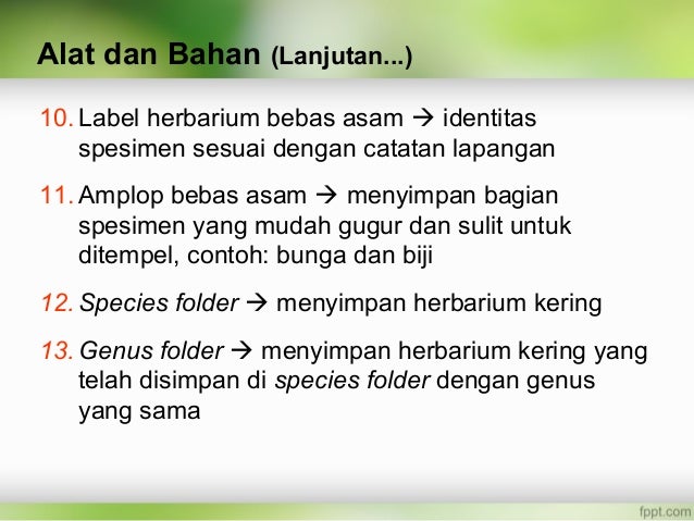 Ppt poltekes koleksi, herbarium