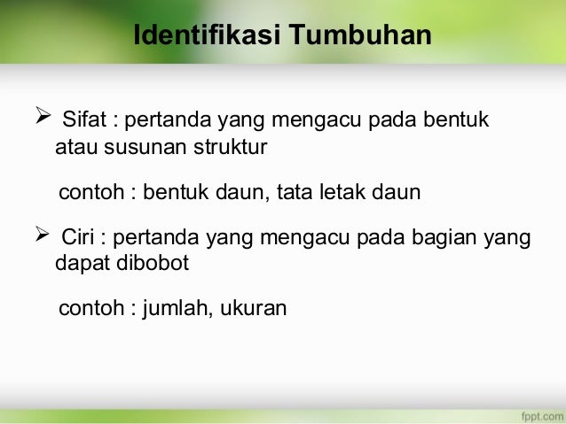 Contoh Ciri Identifikasi Sistem Politik - Contoh 408