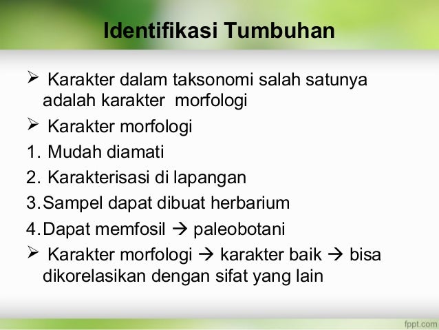 Ppt Poltekkes taksonomi tumbuhan