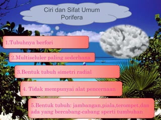 Ciri dan Sifat Umum
                     Porifera


1.Tubuhnya berfori

  2.Multiseluler paling sederhana

    3.Bentuk tu...