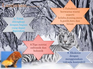 7.Tubuhnya
                                   berwarna-warni
                                        seperti
   6. Tidak  ...