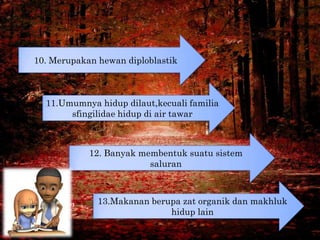 10. Merupakan hewan diploblastik



  11.Umumnya hidup dilaut,kecuali familia
       sfingilidae hidup di air tawar



   ...