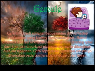 Gemule

   Cara ini terjadi sebagai penyesuaian diri terhadap
    lingkungan yang kurang menguntungkan . Gemul
dibentuk da...