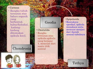 • Carnosa
• Rangka tubuh
  tersusun atas
  bahan organik
  yang                                  • Epipolasida
  berbentuk...